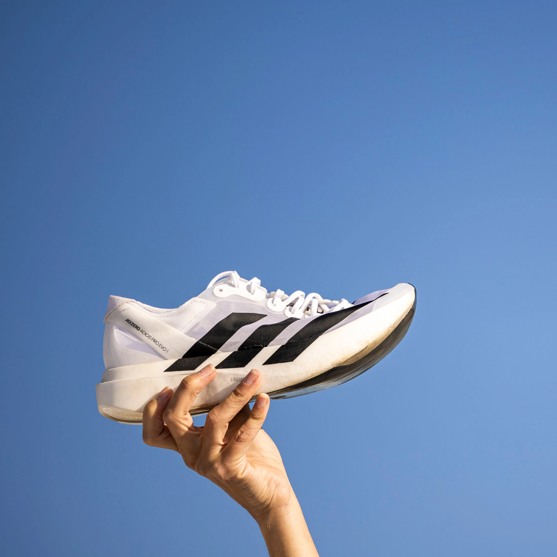 Giày adidas chính hãng tại Tshoes Giày adidas chính hãng tại Tshoes