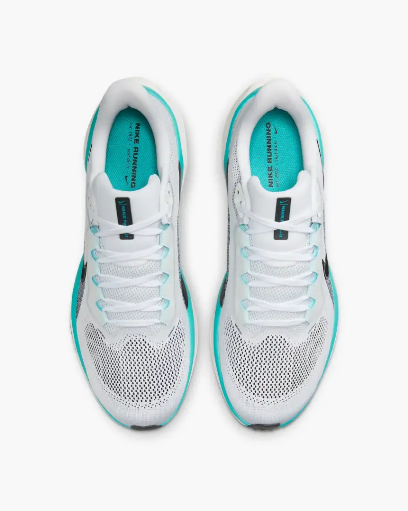 Giày Nike Pegasus 41 - FD2722-103 White / Dusty Cactus / Glacier Blue / Black