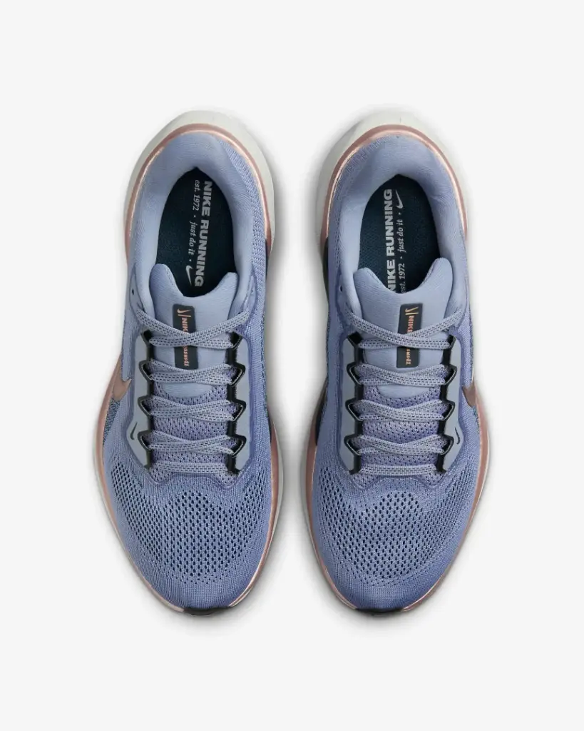 Giày Nike Pegasus 41 - HQ3452-041 Ashen Slate / Armory Navy