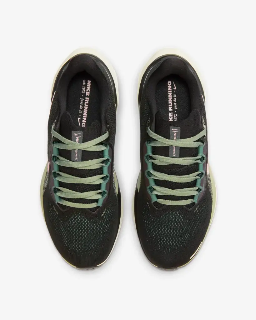 Giày Nike Pegasus 41 - FD2723-009 Black / Jade Horizon / Bicoastal