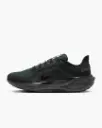 Giày Nike Pegasus 41 GORE-TEX - FQ1356-001 Black / Anthracite