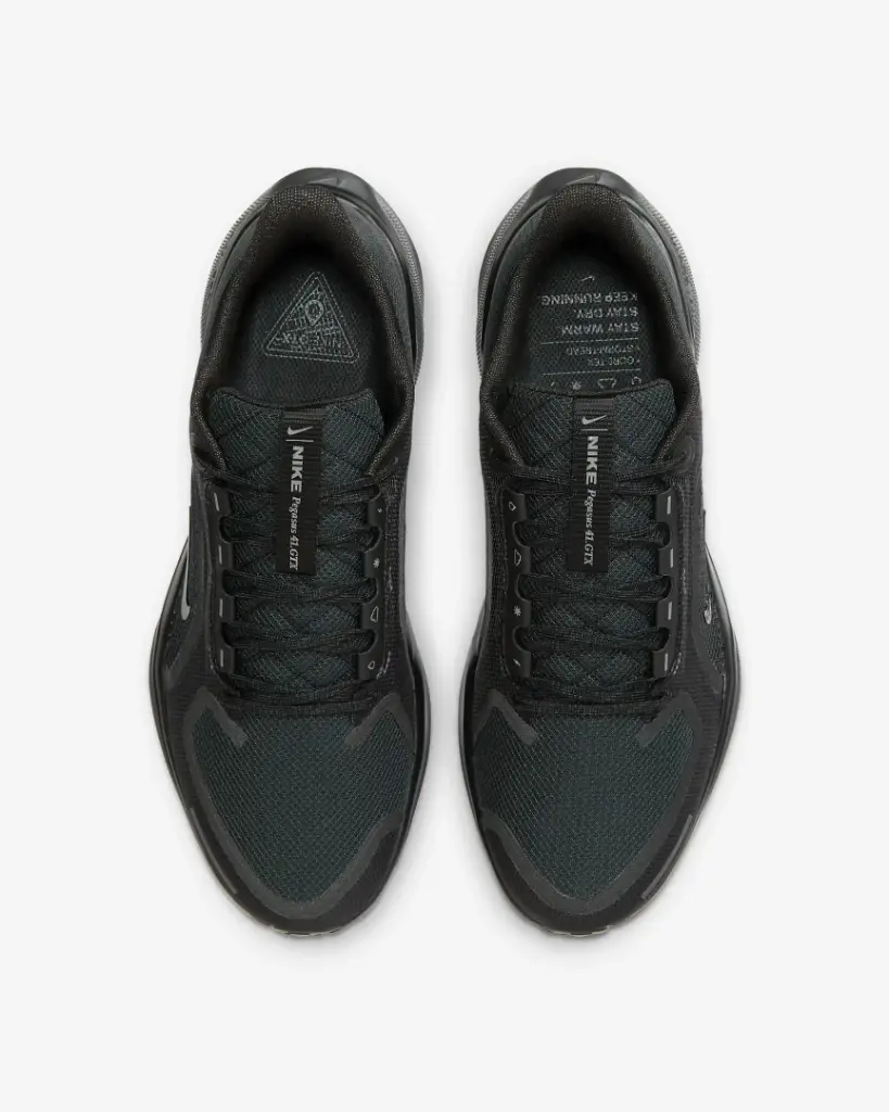 Giày Nike Pegasus 41 GORE-TEX - FQ1356-001 Black / Anthracite