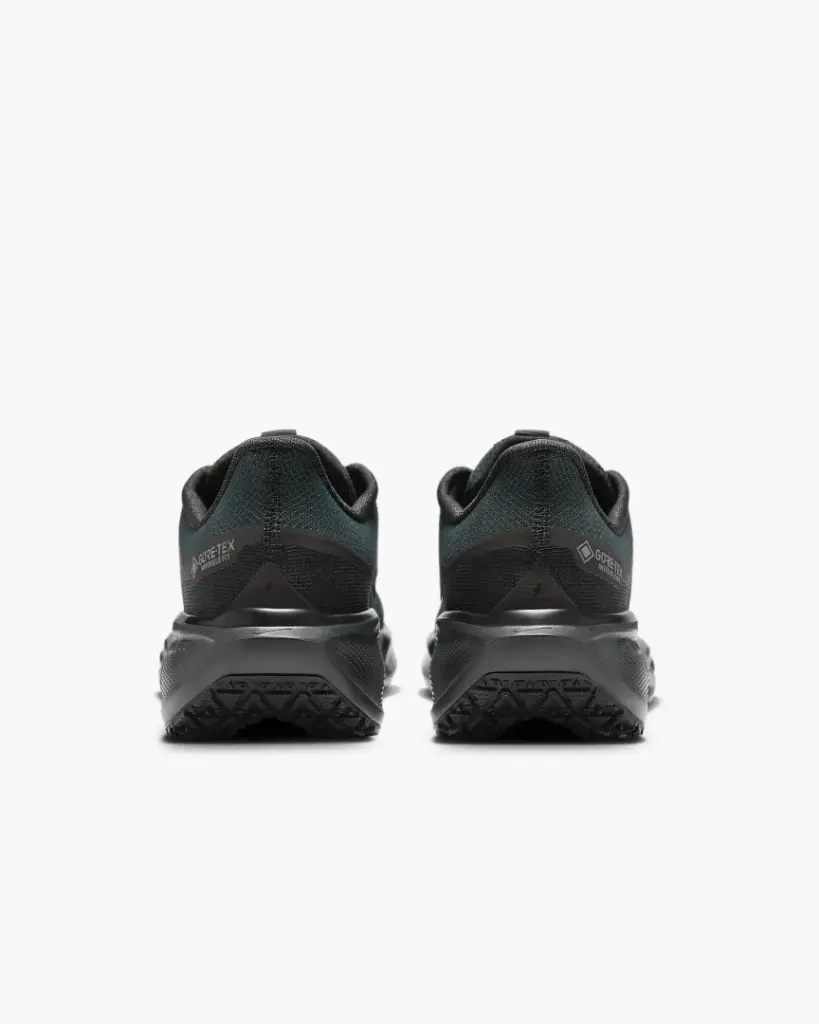 Giày Nike Pegasus 41 GORE-TEX - FQ1356-001 Black / Anthracite