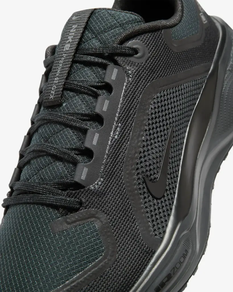 Giày Nike Pegasus 41 GORE-TEX - FQ1356-001 Black / Anthracite