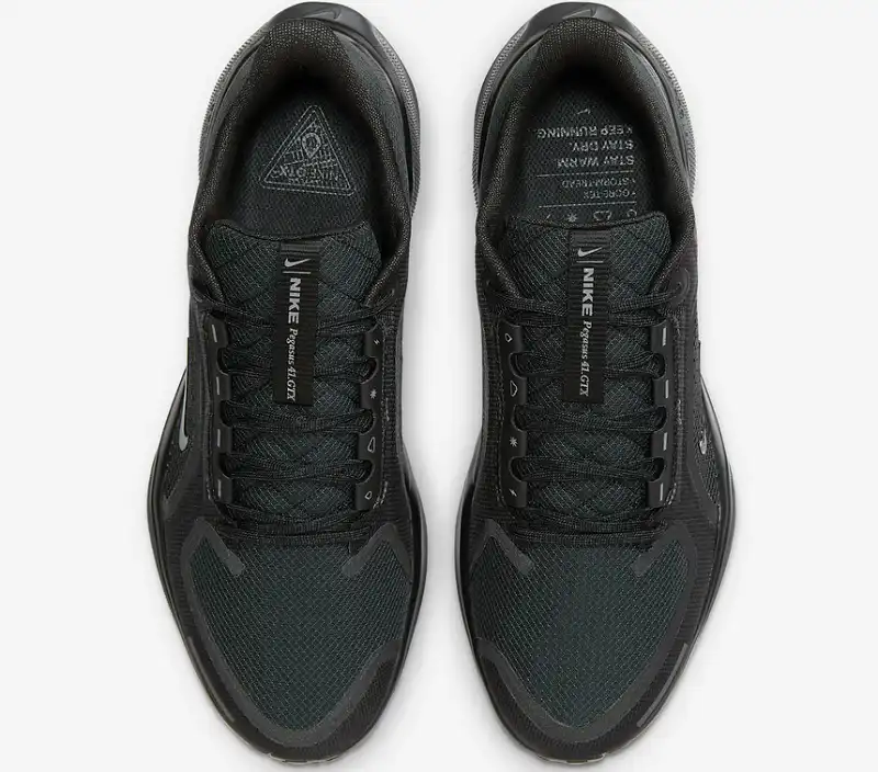 Giày Nike Pegasus 41 GORE-TEX - FQ1356-001 Black / Anthracite