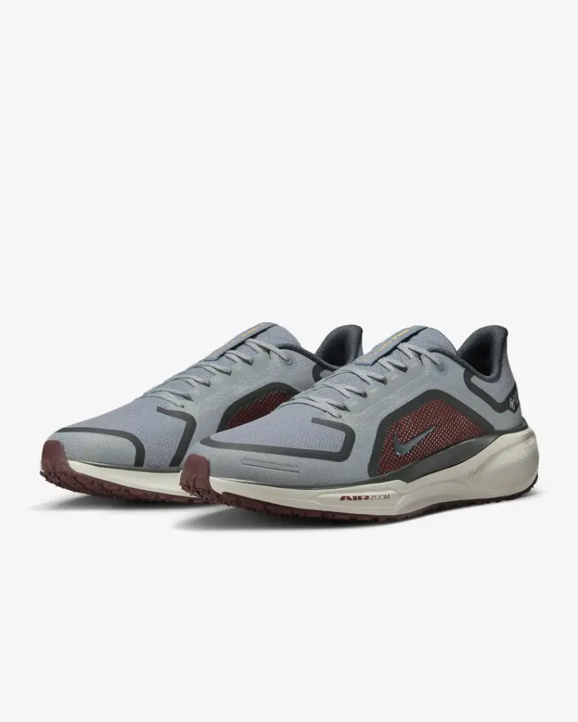 Giày Nike Pegasus 41 GORE-TEX - FQ1356-003 Light Pumice / Burgundy Crush