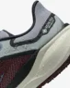 Giày Nike Pegasus 41 GORE-TEX - FQ1356-003 Light Pumice / Burgundy Crush