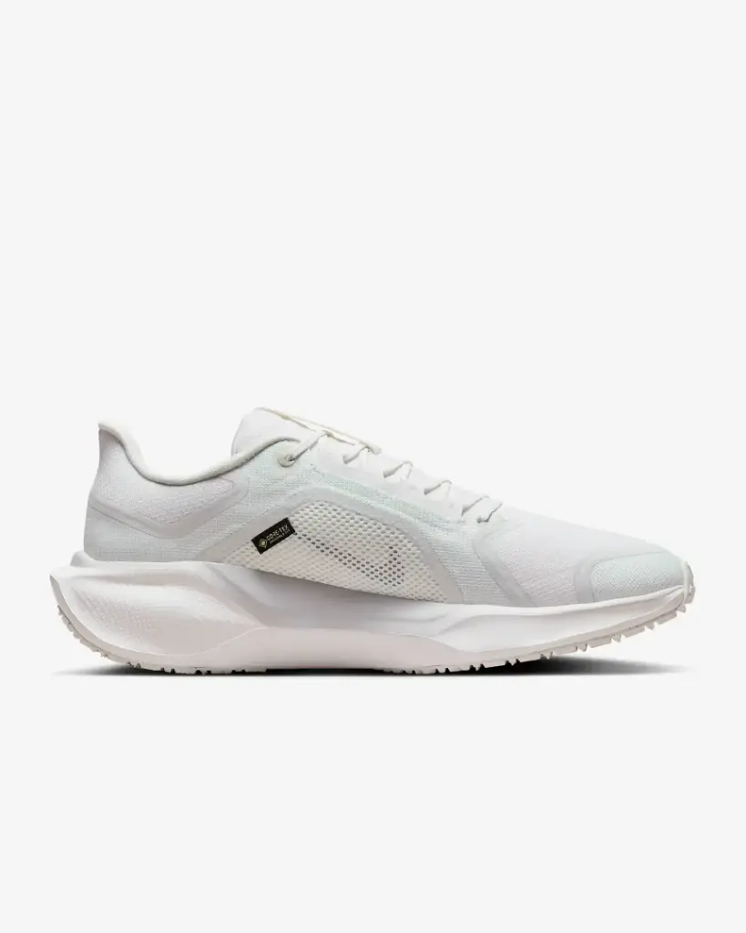 Giày Nike Pegasus 41 GORE-TEX - FQ1356-101 Summit White / Photon Dust